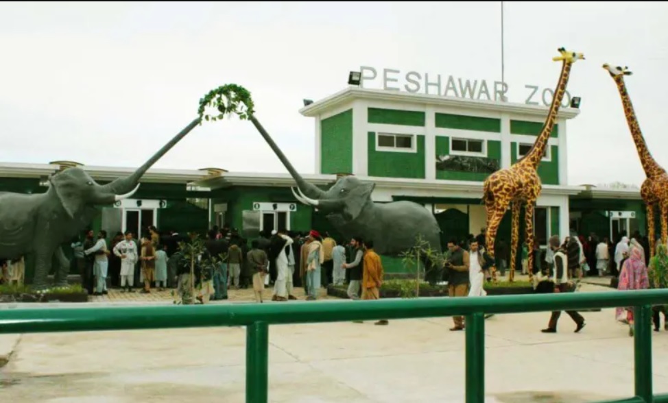 Peshawar Zoo