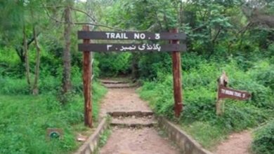 Trail 3 Margalla Hills Islamabad