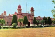 Agriculture-University-Faisalabad
